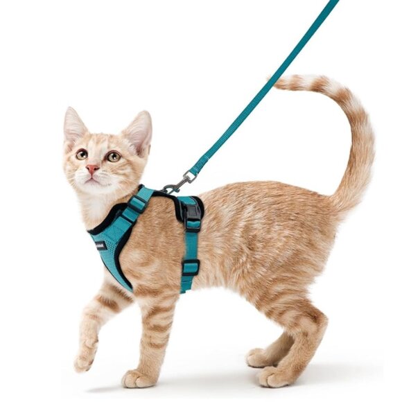 rabbitgoo Cat Harness and Leash - Picture 1 of 6
